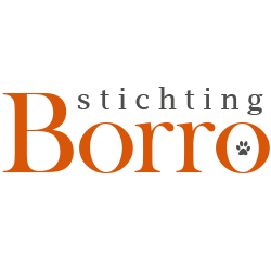 Stichting Borro
